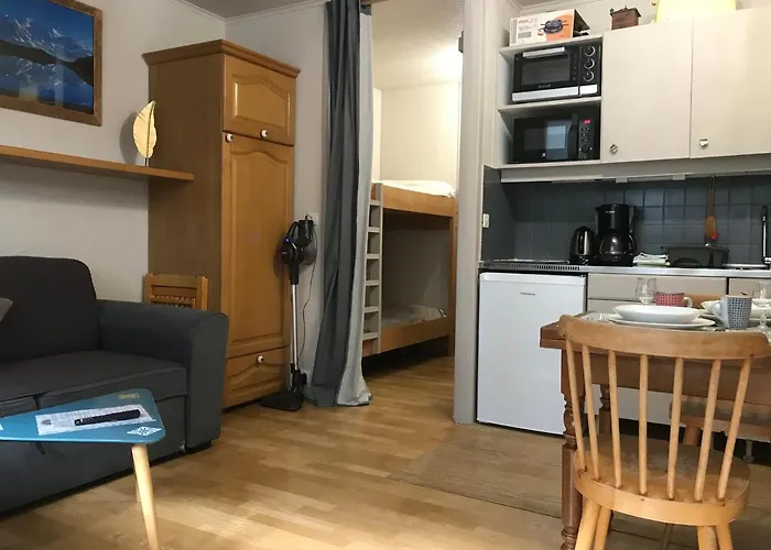 Appartement Chamonix Face Au Mont Blanc