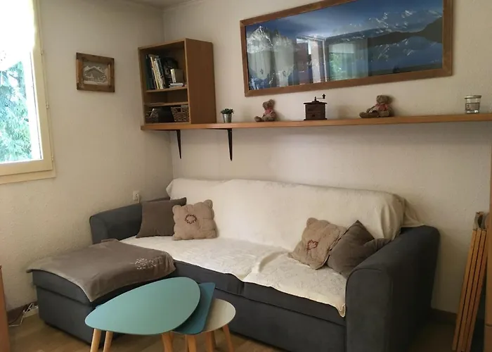 Appartement Chamonix Face Au Mont Blanc
