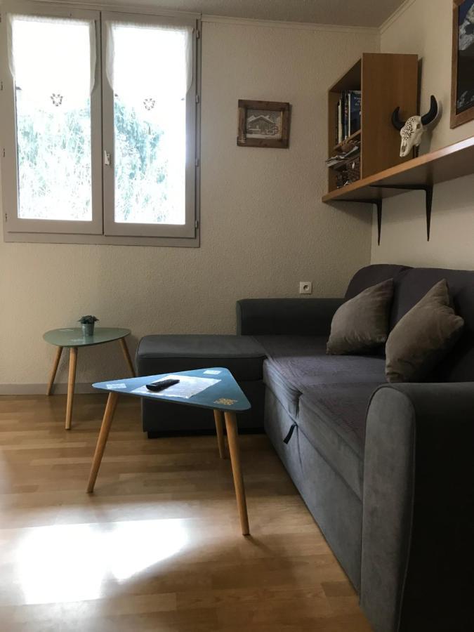 Apartment Face Au Mont Blanc *