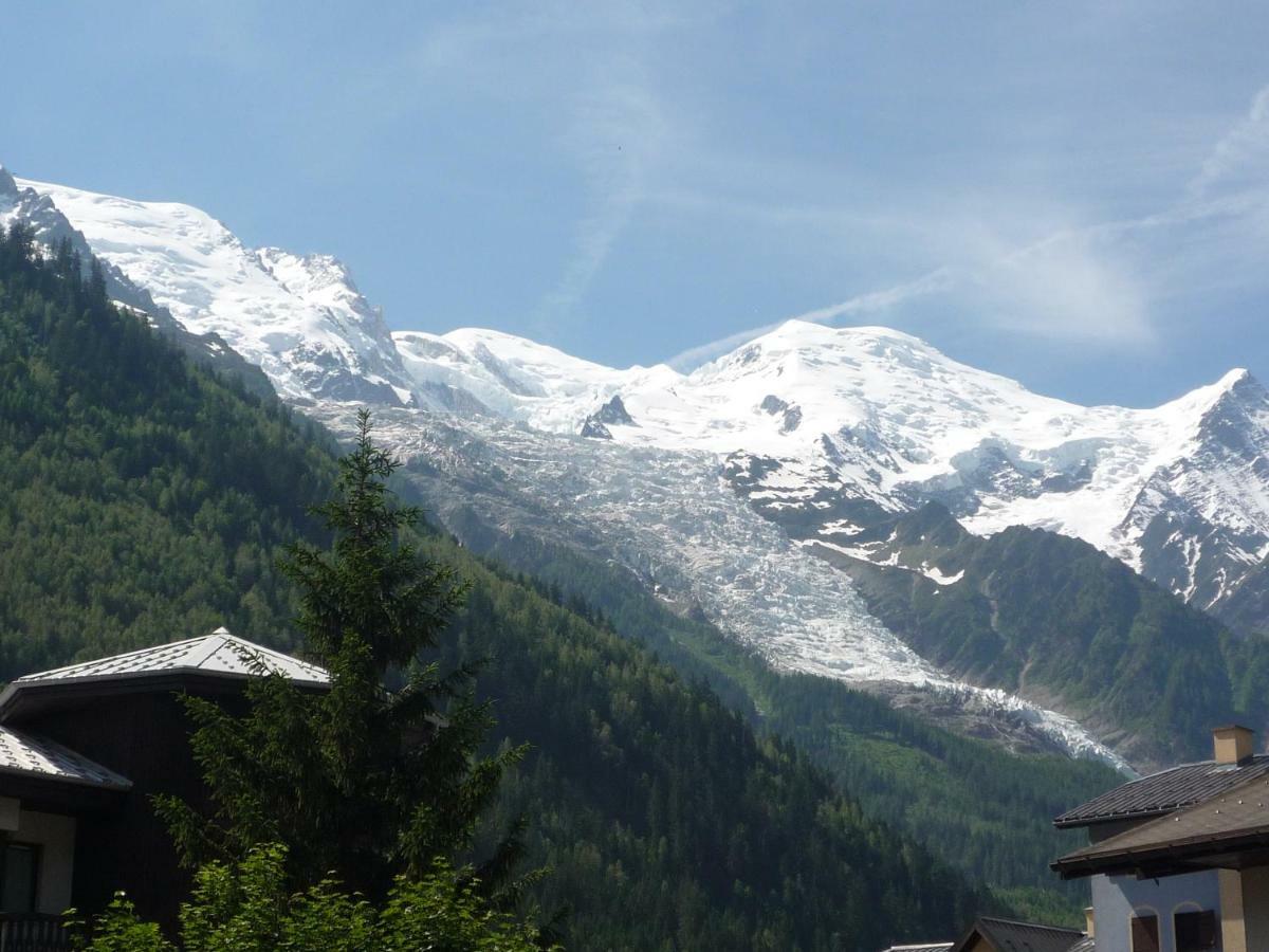 Face Au Mont Blanc Chamonix
