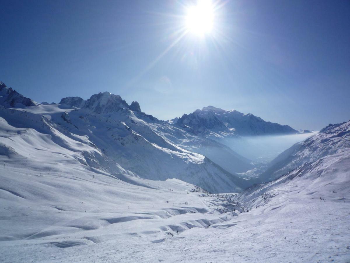 Face Au Mont Blanc
