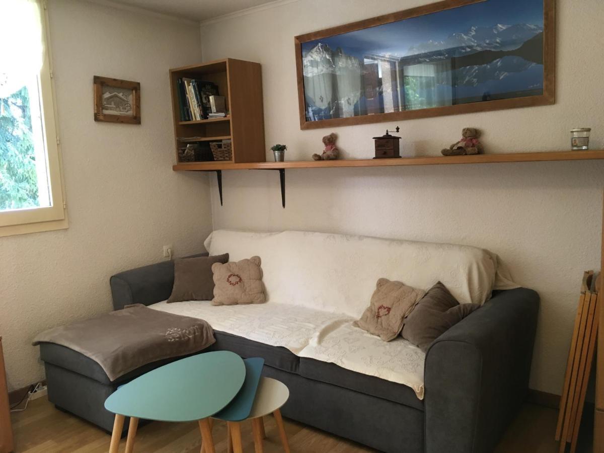 Face Au Mont Blanc Apartment
