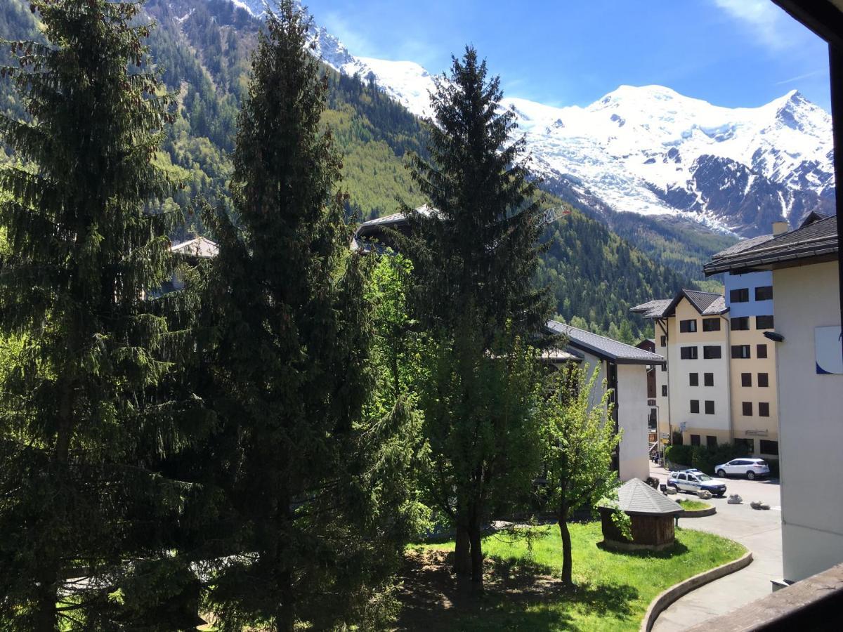 Face Au Mont Blanc