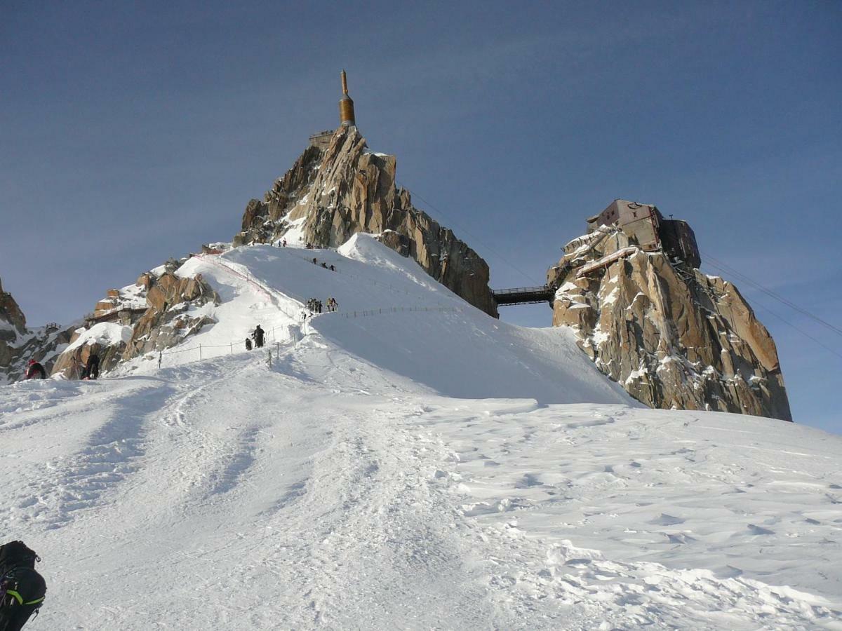 Apartment Face Au Mont Blanc *